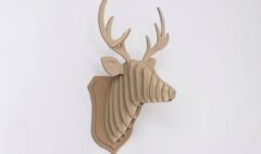 cabeza venado